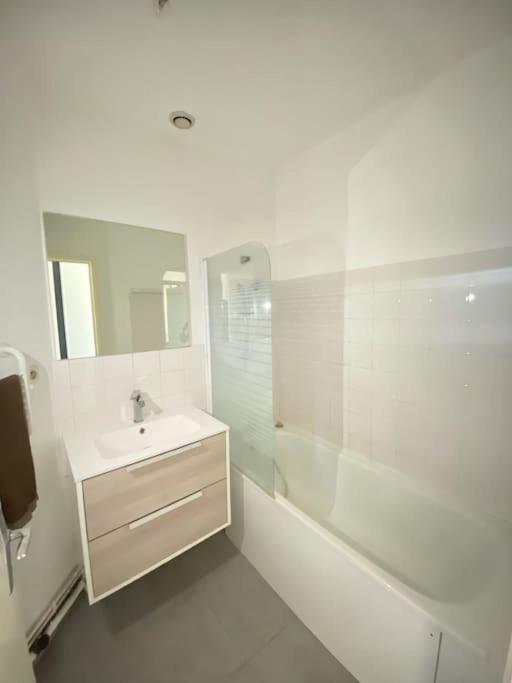 Appartement T2 En Rdc Calme Et Central 5Min A Pieds De La Gare à Roanne Extérieur photo